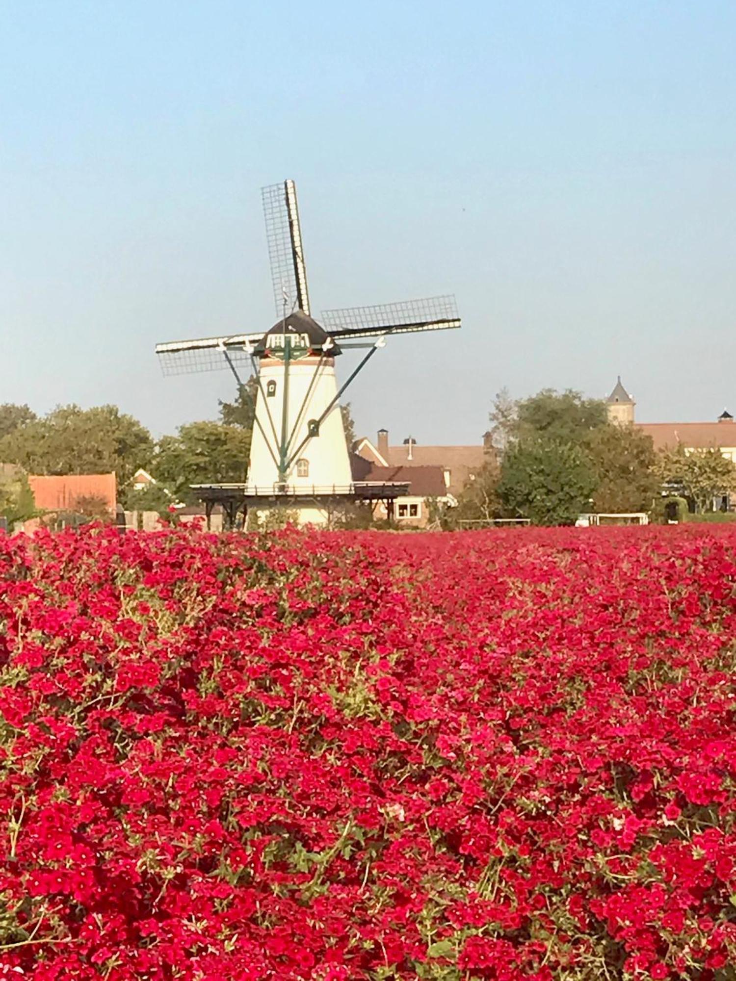 Oosterschelde Lodge Met Veel Privacy En Dicht Bij Het Water Scherpenisse Luaran gambar